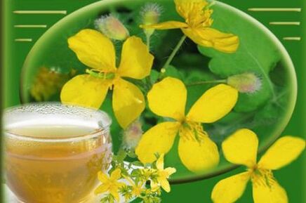 decoction of celandine herb for fungus
