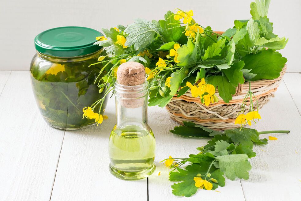 Infusion, oil and freshly picked celandine for toenail fungus